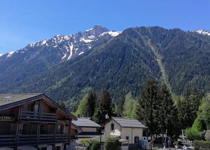 Le Chamoniard Volant